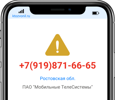 Кто звонил с номера +7(919)871-66-65, чей номер +79198716665