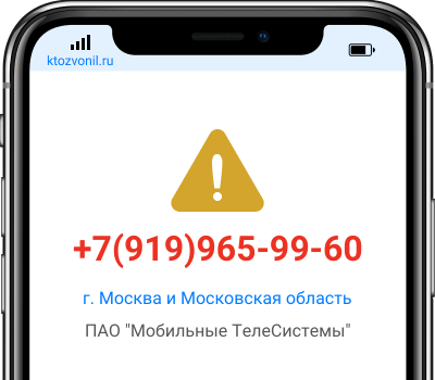 Кто звонил с номера +7(919)965-99-60, чей номер +79199659960